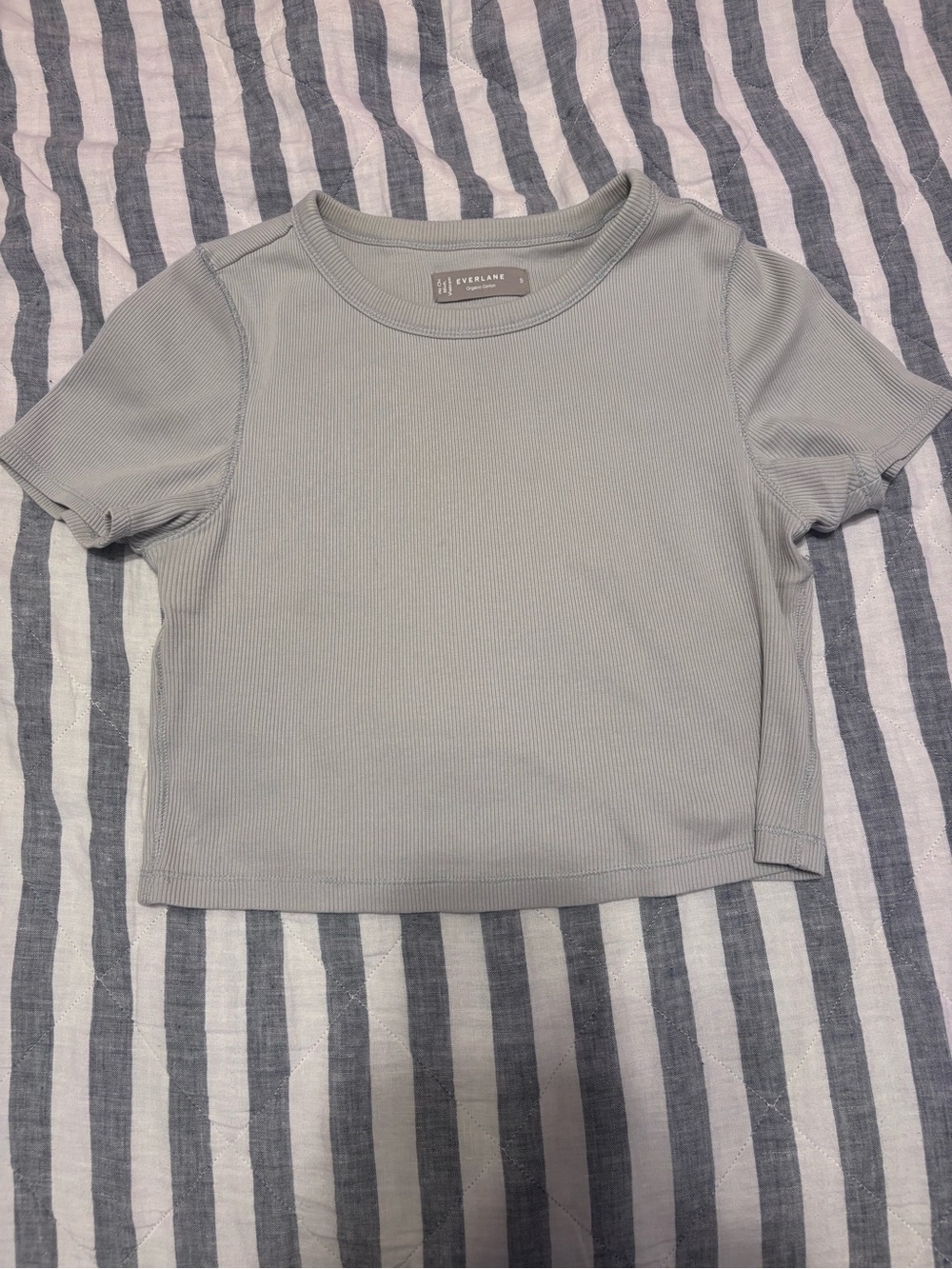 Everlane Light Blue Ribbed Short Sleeve Tee Size Small